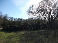 anobello-01042012 099
